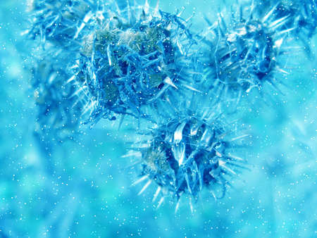 Neon plants backgroundの写真素材