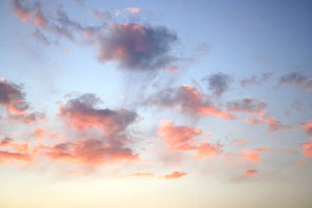 Sunset. Pink sky
