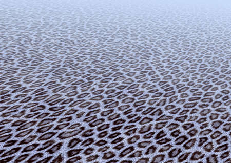  Leopard furの写真素材