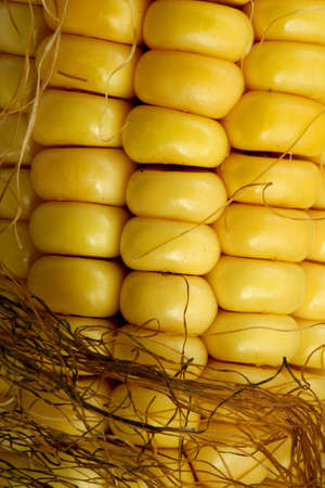 Indian corn ( maize ) close-up