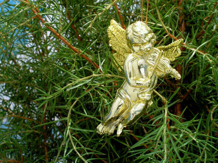 Christmas tree and golden angelの写真素材
