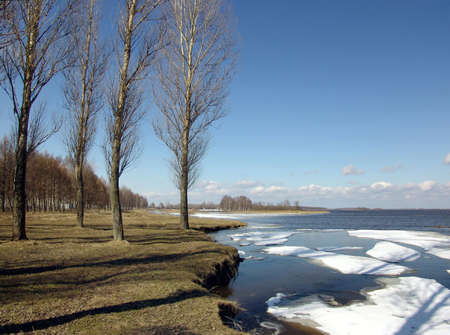 Spring.の写真素材