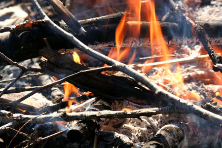 Fire close-up