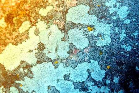 Color wall. Textureの写真素材