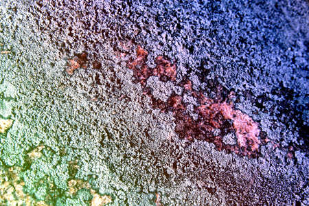 Backgroundの写真素材