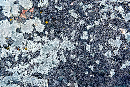 Backgroundの写真素材