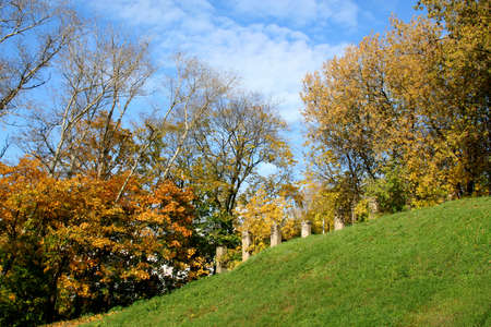 Autumnal beauty of natureの写真素材