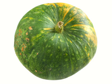 Pumkin on white backgroundの写真素材