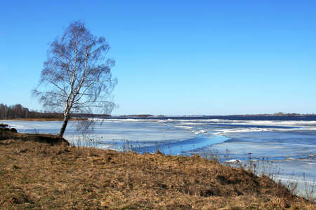 Spring. River Volgaの写真素材