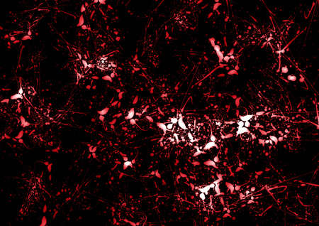 Abstraction background for various design artworks. の写真素材