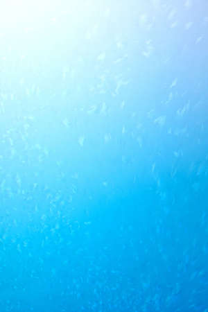 Frosty pattern for design artworksの写真素材