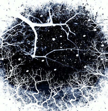 Christmas nightの写真素材