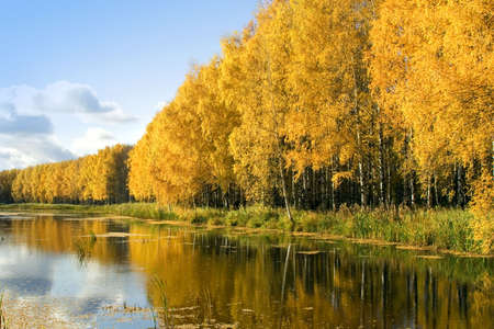 Autumnal sceneの写真素材