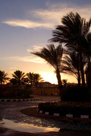  Sunset in Egypt . Charm an ale the Sheikhの写真素材