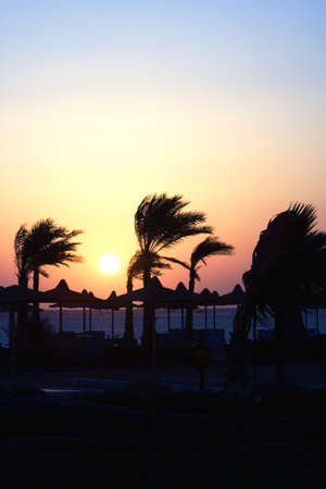  Sunset in Egypt . Charm an ale the Sheikhの写真素材