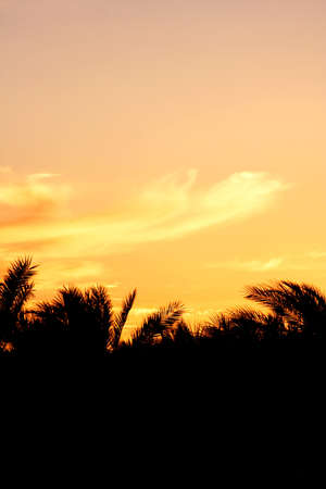  Sunset in Egypt の写真素材