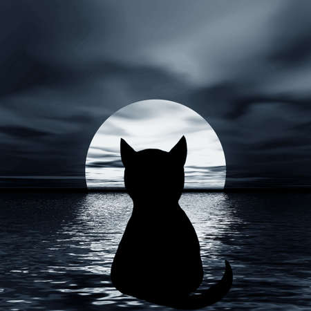 Night picture. Abstraction illustration for design artworks. Cat and moonの写真素材