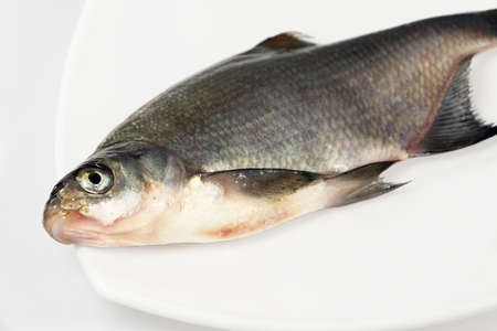 River fish in raw view. Breamの写真素材