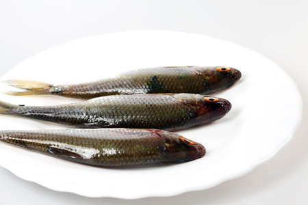 River fish in raw view on a plateの写真素材