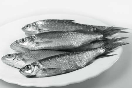 River fish in raw view on a plateの写真素材