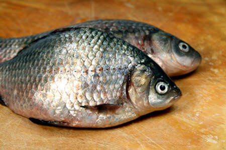 River fish in raw view. Crucian ( european carp)の写真素材