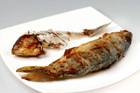 Crucian (carp) and fish bones の写真素材