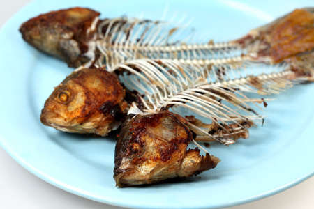 Crucian fish bones on a plateの写真素材