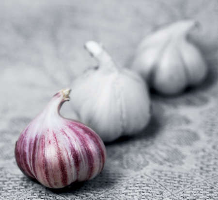B & W photo and color garlic の写真素材
