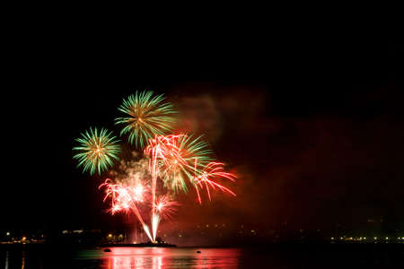 Celebratory bright firework in night sky
