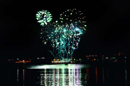 Celebratory bright firework in night sky