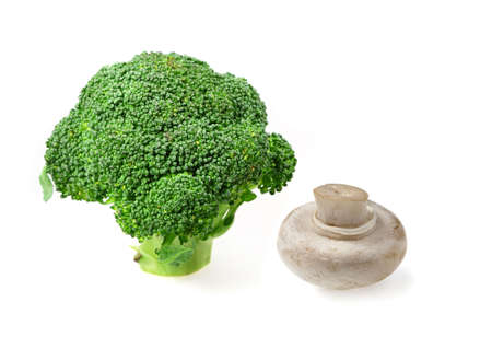 Vegetable cabbage broccoli and  mushroom   champignonの写真素材