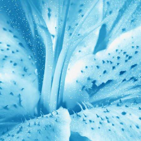 Blue floral background for celebratory card and designの写真素材
