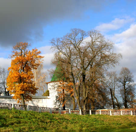 Beautiful landscape in park during the autumn periodの写真素材