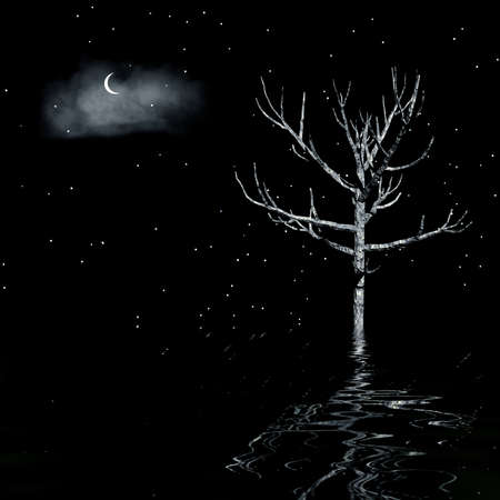 Night 3d landscape with overcast skies and treesの写真素材