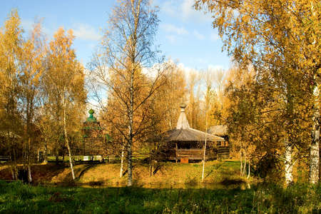 Autumn beautiful scenery - yellow trees in parkの写真素材