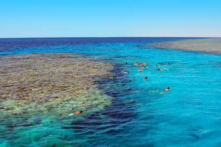  Diving in egypt ( city Charm  ale  Sheikh ) 