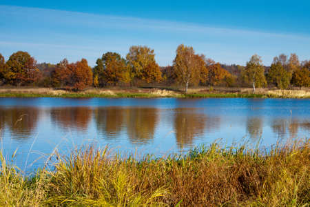 Beautiful nature, autumn. Wild scenery. Small Riverの写真素材