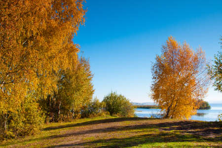 Beautiful nature, autumn. Wild scenery. Small Riverの写真素材