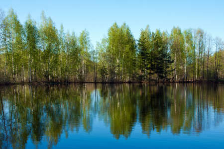 Beautiful nature, spring. Scenery with river の写真素材