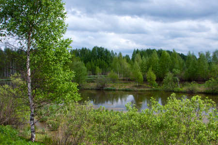 Beautiful nature, summer. Scenery with river and forestの写真素材