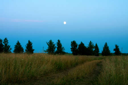  Night and lea, moonの写真素材