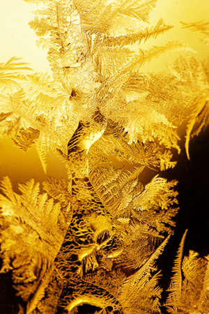 Frosty  pattern at a winter window glassの写真素材