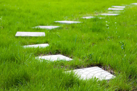 Path from plates on a green grass, spring seasonの写真素材