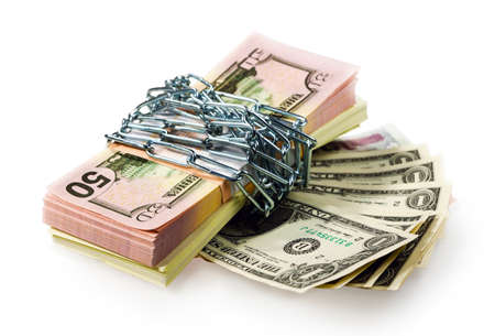  Bundle of dollars bank notes, preservation of capital