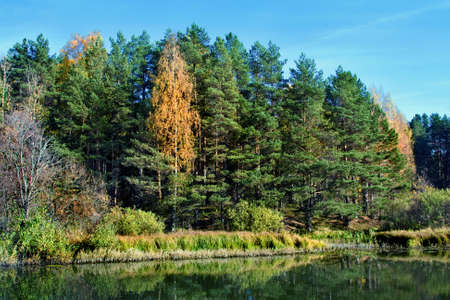 Beautiful nature, autumn  Wild scenery with riverの写真素材