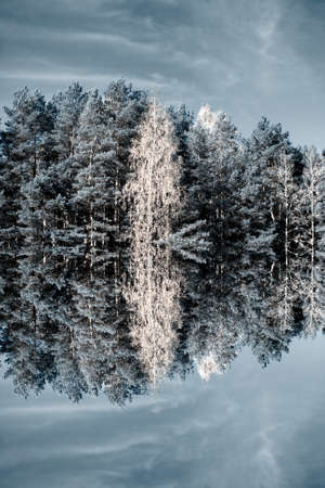 Scenery, hoarfrost on a trees and water reflection