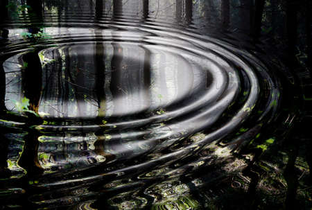  Water ripples  with reflection of forest, summer seasonの写真素材