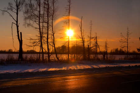 Winter sunset in forest in cold evening