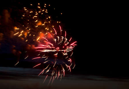Celebratory bright firework in a night sky 