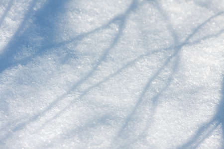 Winter background, snow in a sunny day  